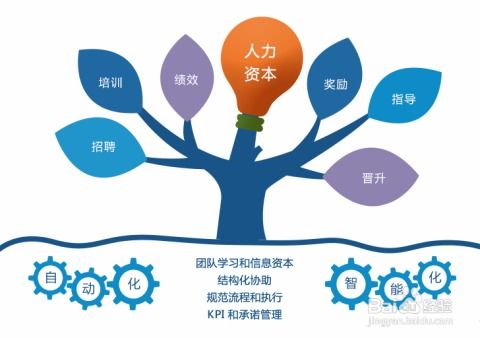 信息化管理賦能企業運營 以信息咨詢服務為核心